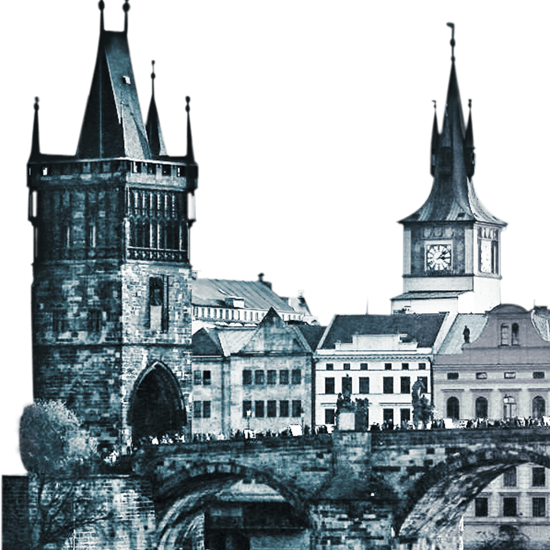 Czech McKinsey Global Services