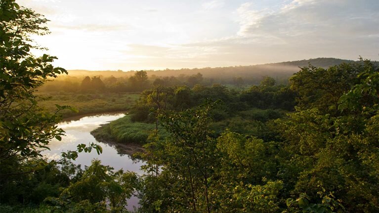 How our carbon offset projects are helping to support sustainable development