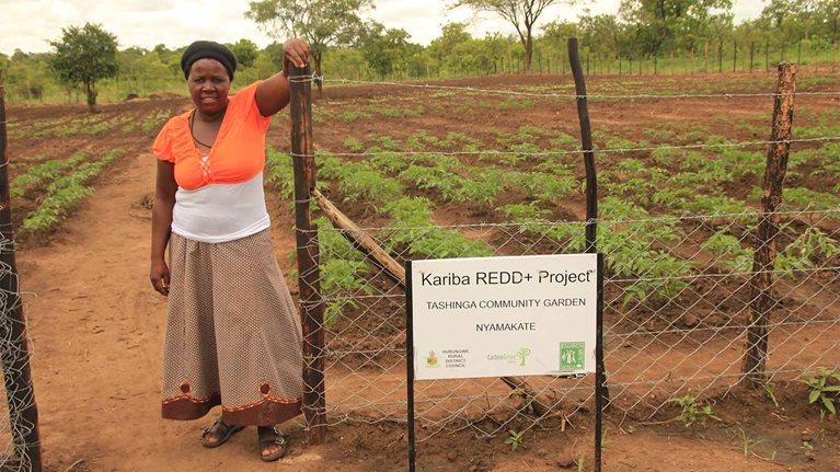 How our carbon offset projects are helping to support sustainable development