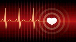 The heartbeat of modern marketing: Data activation and personalization