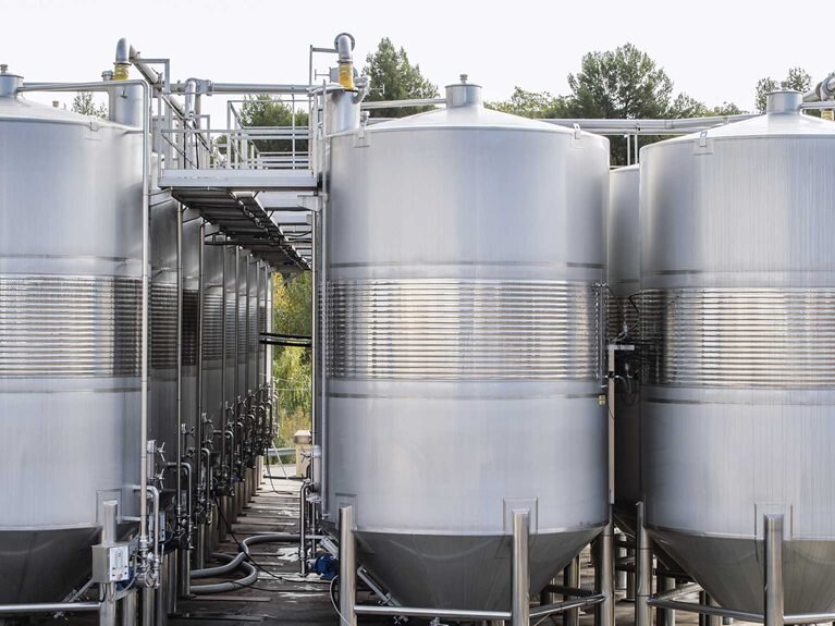 Bacteria and fungi can be used to produce food and feed ingredients at scale and as a substitute to more costly extraction methods (for example, fermented stevia instead of extraction from the stevia leaf).