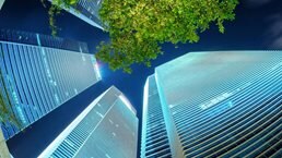 Capital projects