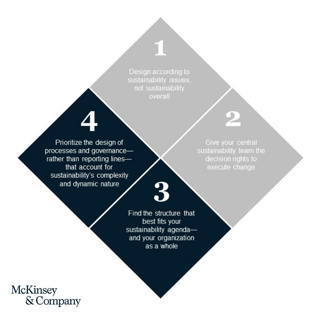 How team structure and governance can unleash sustainability success