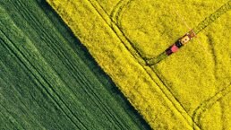 Starting at the source: Sustainability in supply chains