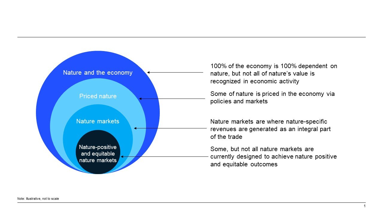 The state of nature markets today and tomorrow