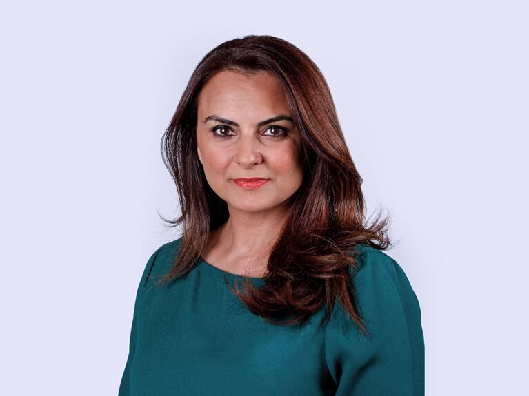 Mina Al Oraibi