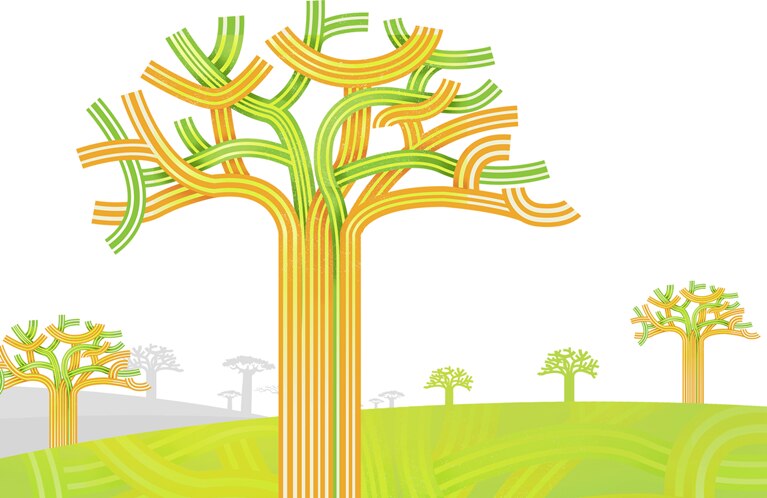 Africa's overlooked business revolution