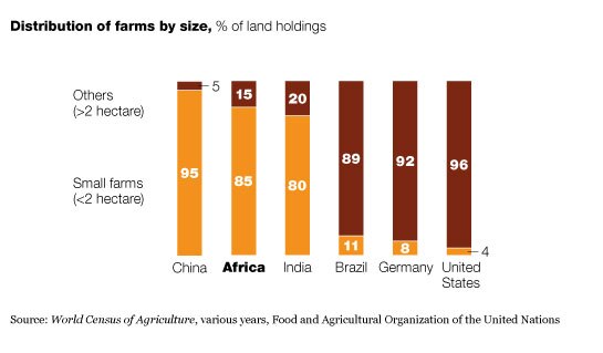Image_The small African farm_1