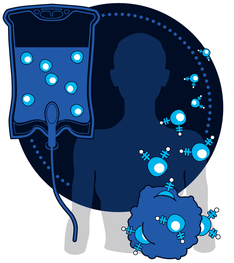 Cellular therapy and regenerative medicine